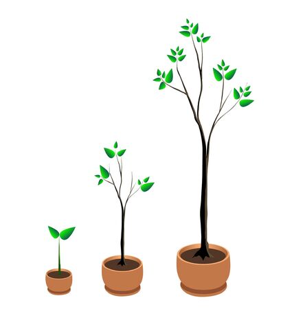 treeのイラスト素材