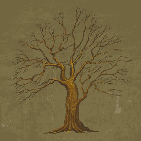 Big Tree vector illustrationのイラスト素材