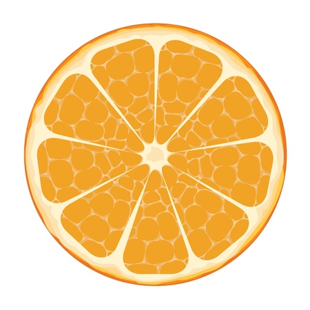 Orange Slice Vector Artのイラスト素材