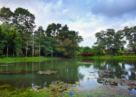 Natural background of pond and trees  Beautiful outdoors locationの写真素材