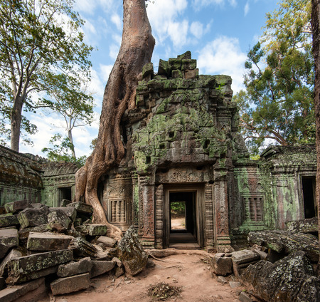 Angkor Wat Cambodia  Ta Prohm Khmer ancient Buddhist temple in jungle forest  Famous landmark, place of worship and popular tourist travel destination in Asiaの写真素材