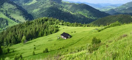 Carpathian mountains green hills nature background. Ukraine rural countrysideの写真素材