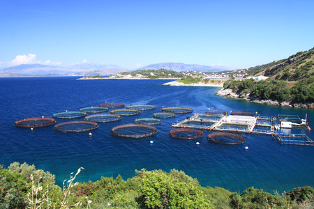 Farm for breeding fish in cages in the open seaの写真素材