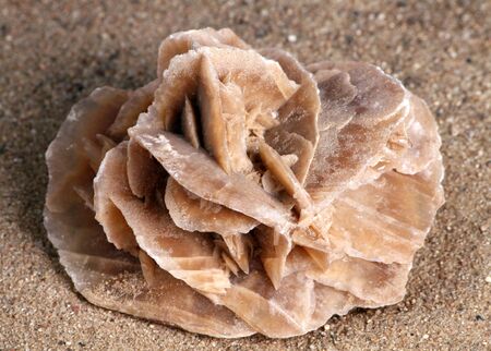 Desert Rose - gypsum crystallized under the influence of moisture and sunの写真素材