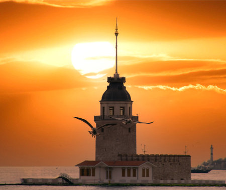 Seagull in focus and blurred view of Maiden's Tower in the background. Seagulls, Maiden Tower and magnificent sunset colors on the Bosphorus in Istanbul.の写真素材