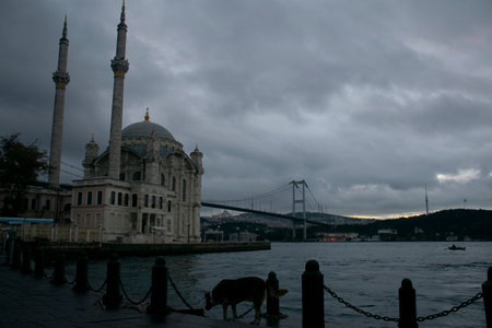 View of Ortakoy Mosque and July 15 Martyrs Bridge in the morning. View of the Bosphorus in the early morning.の写真素材