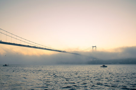 View of July 15 Martyrs Bridge (Bosphorus Bridge) with seagull and sunrise in fog clouds. Fishing...