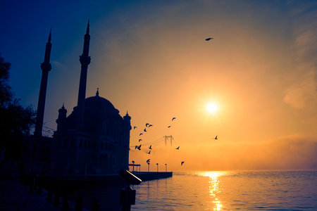 View of July 15 Martyrs Bridge (Bosphorus Bridge) with seagull and sunrise in fog clouds. Foggy...