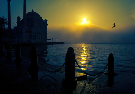 View of July 15 Martyrs Bridge (Bosphorus Bridge) with seagull and sunrise in fog clouds. Foggy morning view from Ortakoy Mosque and 15 Martyrs Bridge.の写真素材