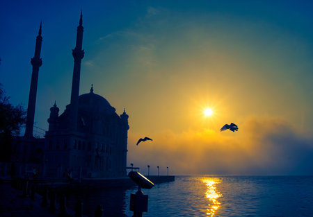 View of July 15 Martyrs Bridge (Bosphorus Bridge) with seagull and sunrise in fog clouds. Foggy morning view from Ortakoy Mosque.の写真素材