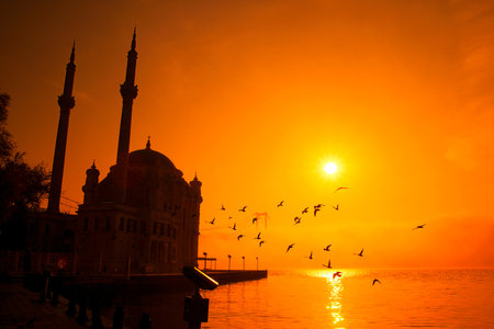 View of July 15 Martyrs Bridge (Bosphorus Bridge) with seagull and sunrise in fog clouds. Foggy morning view from Ortakoy Mosque and 15 Martyrs Bridge.の写真素材
