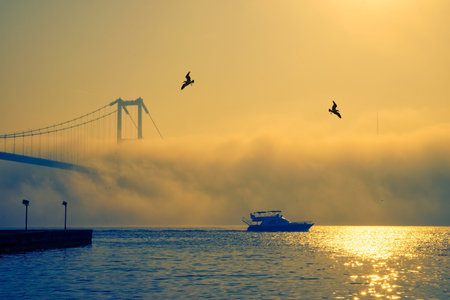 A sunrise view of the July 15 Martyrs Bridge and OrtakÃ¶y Mosque with seagulls and fog. A yacht...