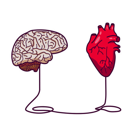 Emotional intelligence poster in the form of a human brain and heart connected by a lineのイラスト素材