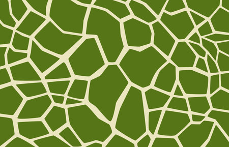 The green pattern is like a turtle shell foam.のイラスト素材