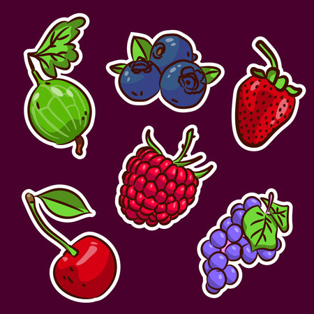 A set of various berries. Berry stickers: cherry, raspberry, lochina, grapes, gooseberries, strawberries and grapes.のイラスト素材