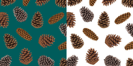 Pattern from pine cones.Winter moodのイラスト素材