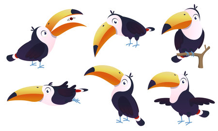 A set of illustrations of a toucan character. Cartoon toucan bird isolated on white backgroundのイラスト素材