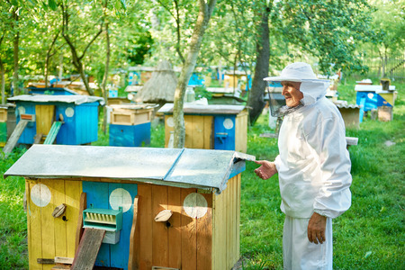 Senior beekeeper working at his apiaryの写真素材
