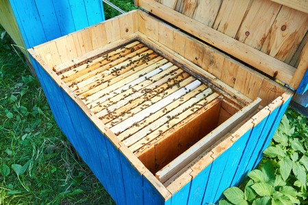 Close up shot of beehives in apiary