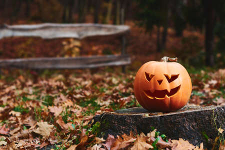 Shot of Halloween pumpkin jack headの写真素材