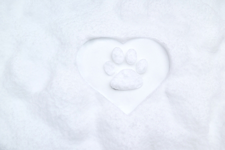 Happy new year 2018 greeting cardの写真素材