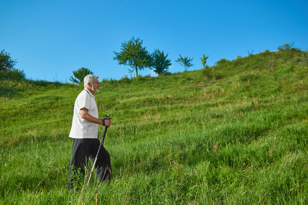 Sideview of old man walking with tracking sticks in mountains. Wearing white polo shirt with dark blue stripes,black trousers, sneakers. Cardioexercises outdoors on fresh air. Sport lifestyle.の写真素材