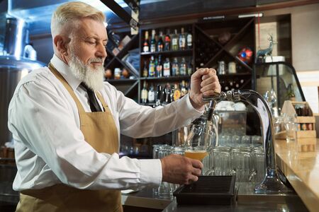 View from side of calm man wearing apron in process of pouring light beer in glass from beer tap....