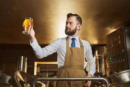 Confident specialist in brown apron holding and looking at beer glass. Brewery expert controlling...