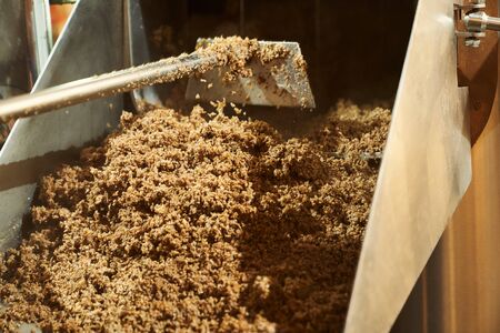 Close up of milled malt grains. Brewery process with fragmentation of malt at modern equipment....