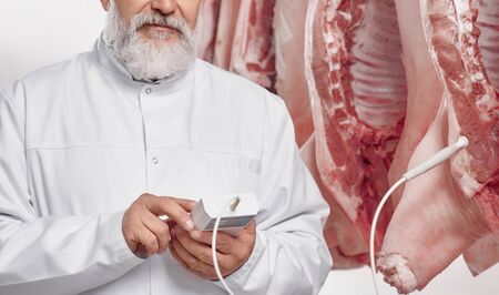 Close up, cropped portrait of butcher with gray beard in white uniform near pork carcasses. Elderly worker holdihg analyser and testing. Fresh production in steak house. Meat manufacturing.の写真素材