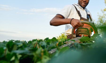 Close up of african male gardener hands holding garden trimmer and cutting small overgrown leaves on green bushes. Worker wearing special overall and protective glasses outdoors.の写真素材