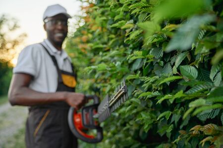 Handsome young african man in special uniform, summer hat and protective gloves trimming bushes with scissors during summer days. Professional gardener working with modern tools outdoors.の写真素材