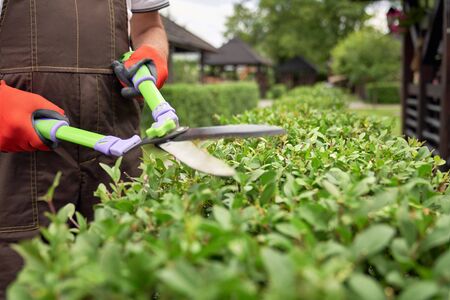 Selective focus of male gardener using big scissors to cut bushes in summer. Close up of man in...