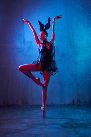 Beautiful wet ballerina in black sexy lingerie and ears, ballet shoes dancing with hand up, loft interior. Young artist standing on socks. Isolated on blue studio background with rain and red light.の写真素材