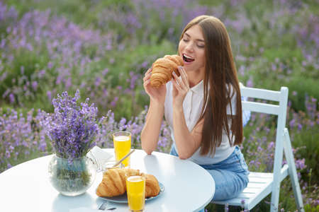 Young woman eating delicious croissant, sitting at table served with glasses of orange juice, flowers bouquet and honey jar. Top view of stunning girl wearing casual outfit posing in lavender field.の写真素材