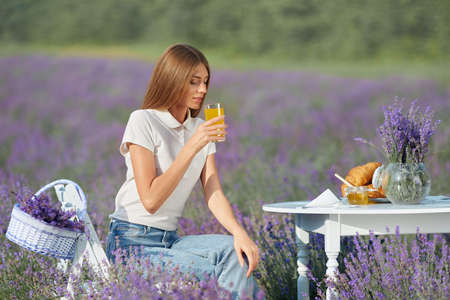 Young lovely woman drinking orange juice, sitting at table served with croissants, flowers bouquet and honey jar. Stunning girl wearing casual outfit posing in lavender field, looking aside.の写真素材
