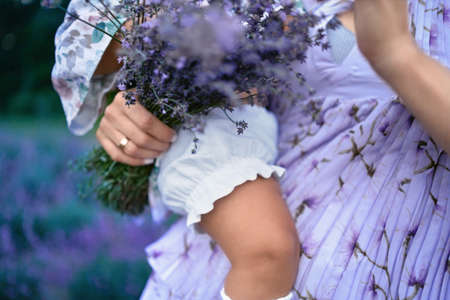 Closeup view of unrecognizable young mother wearing lovely dress carrying aromatic bouquet of violet flowers. Crop of woman posing with baby girl on hands in lavender field. Nature, motherhood.の写真素材