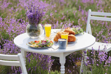 White wooden table served with delicious croissants, glasses of orange juice, honey jar and fresh appetizers for two and vase with lavender bouquet. Amazing decoration in blooming lavender field.の写真素材