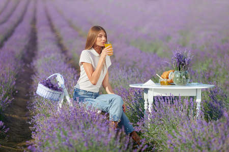 Young lovely woman drinking orange juice, sitting at table served with croissants and honey jar. Stunning girl wearing casual outfit posing in lavender field, endless purple patches on background.の写真素材