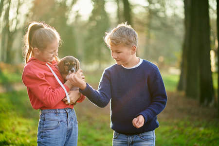 Front view of children spending good time with favourite brown puppy in forest. Concept of weekend with family.の写真素材