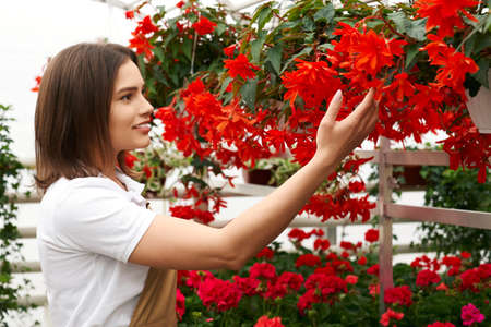 Side view portrait of smiling cute brunette woman in white t-shirt enjoying beauty and smell beautiful red flowers. Concept of caring for plants in modern greenhouse.の写真素材