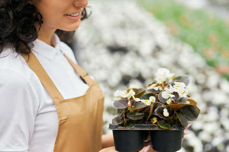 Close up of female florist in uniform posing at greenhouse with pot in hands. Pretty young woman farming houseplants and controlling their growth.の写真素材