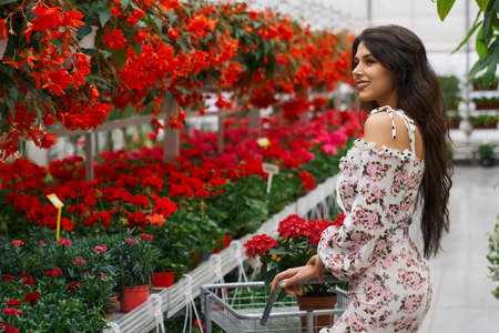Side view of smiling attractive young brunette woman in beautiful dress walking with trolley in large modern greenhouse and choosing flowerpots. Concept of process buy beautiful red flowers.の写真素材