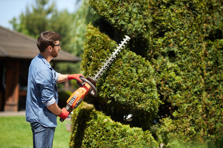 Skillful male landscaper shaping geometric ornament with hedge trimmer in topiary park. Side view of...