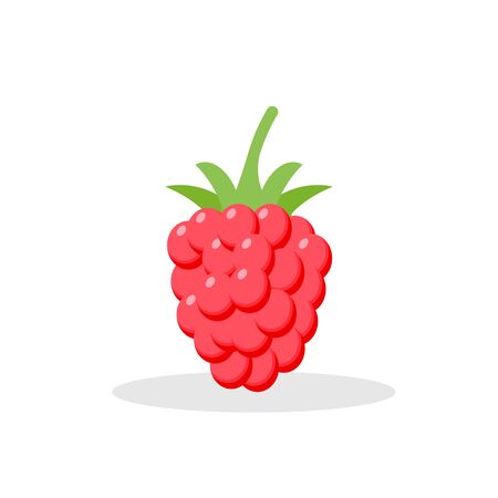 Raspberry with leaf isolated on white background.のイラスト素材