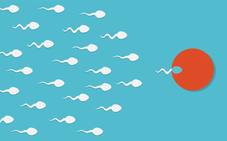 The sperm cell leader. Active sperm cells swim to the egg. Background of moving sperm. vector illustration. Eps 10.のイラスト素材