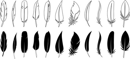 Set of black feather in a flat style. Set of bird feather. Pen vector icons. Black quill feather silhouette.のイラスト素材