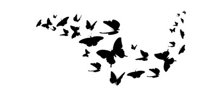 flock of butterflies silhouette.のイラスト素材