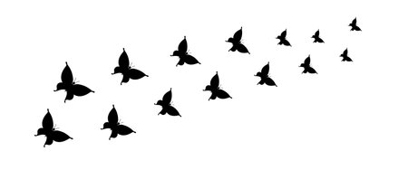 flock of butterflies silhouette.のイラスト素材
