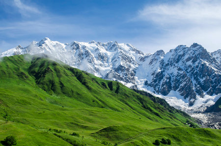 Mountain landscape with emerald slopes on the foreground and steep face of rocks,ice and snow on the background in gorgeous summer dayの写真素材